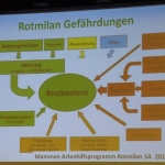 0082 Energie Zukunft BUND Hessen M Krauss Folie 15.jpg